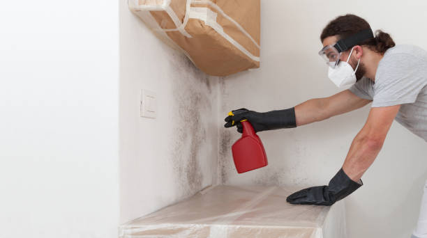 Professional Mold Remediation technician working in Warfield, VA