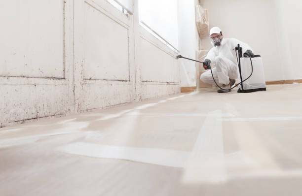 24/7 Emergency Mold Remediation experts in Warfield, VA