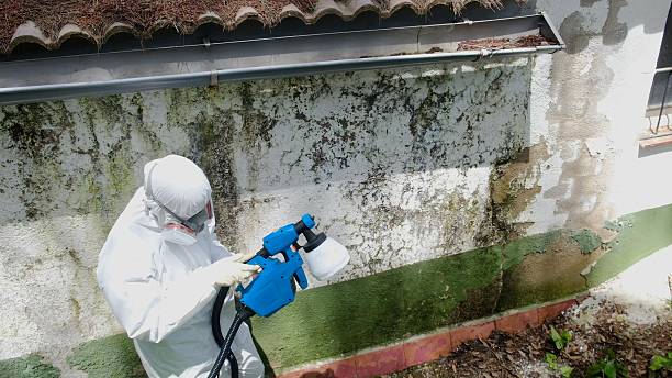 Top rated local Mold Remediation specialists in Warfield, VA